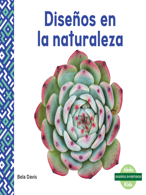 Cover image for Diseños en la naturaleza (Patterns in Nature)